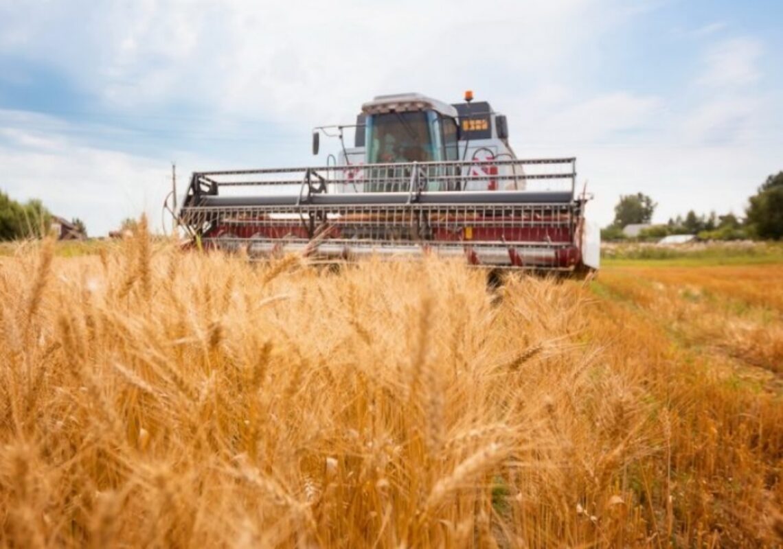 EU raises 2023-24 wheat stocks – Blog post 7